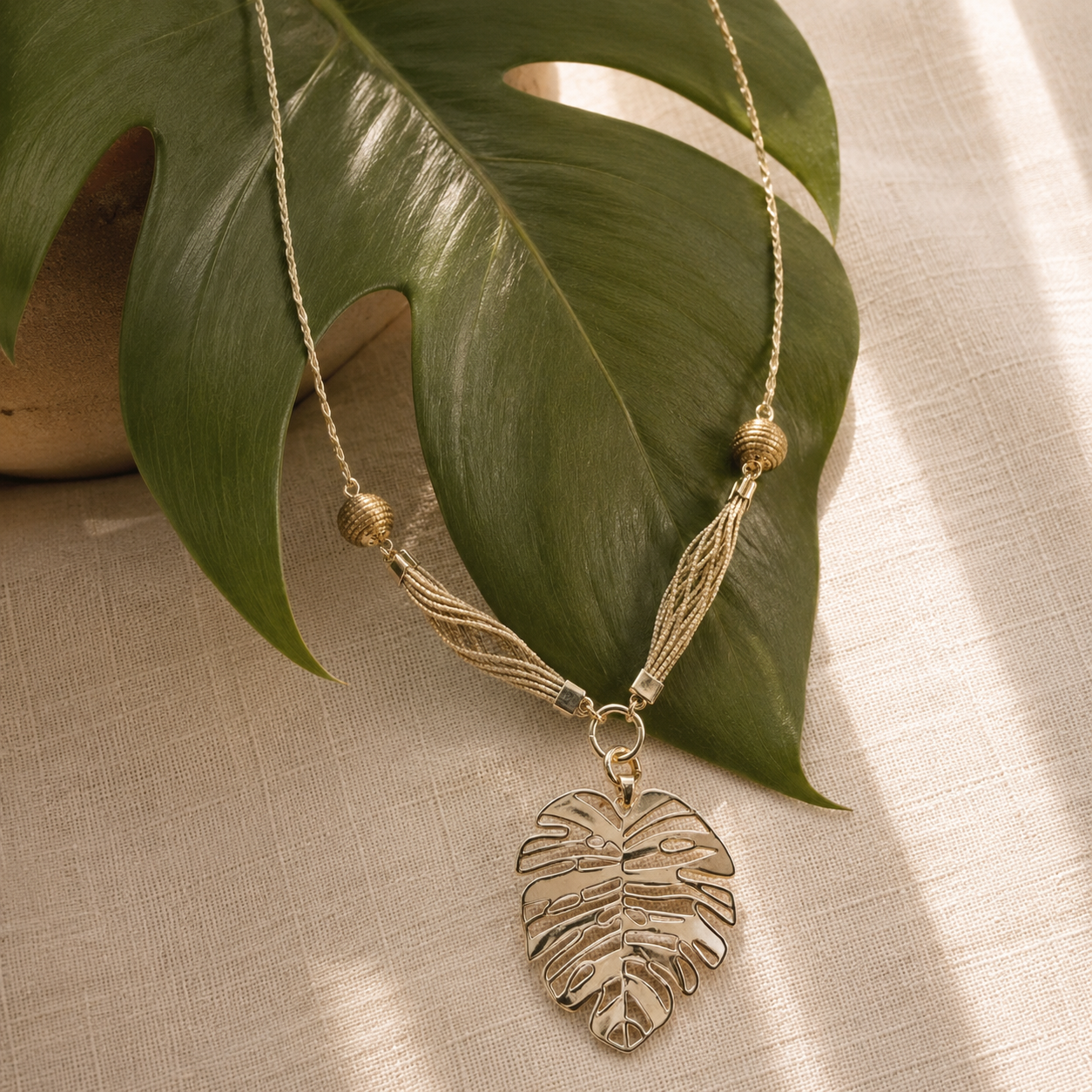 Monstera